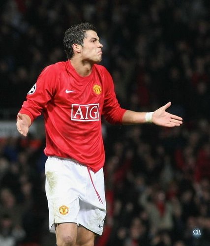 马的适应奠 马的适应奠