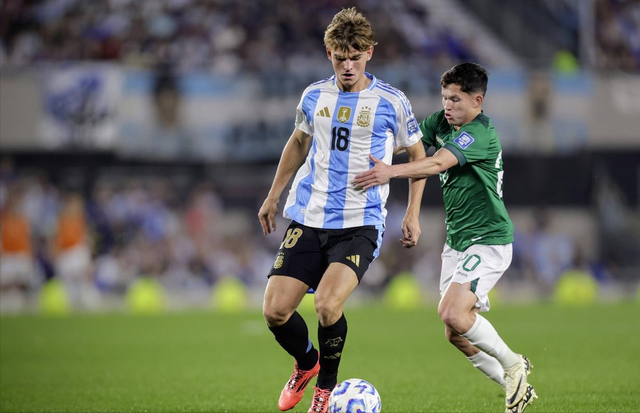 他在管理豪 他在管理豪