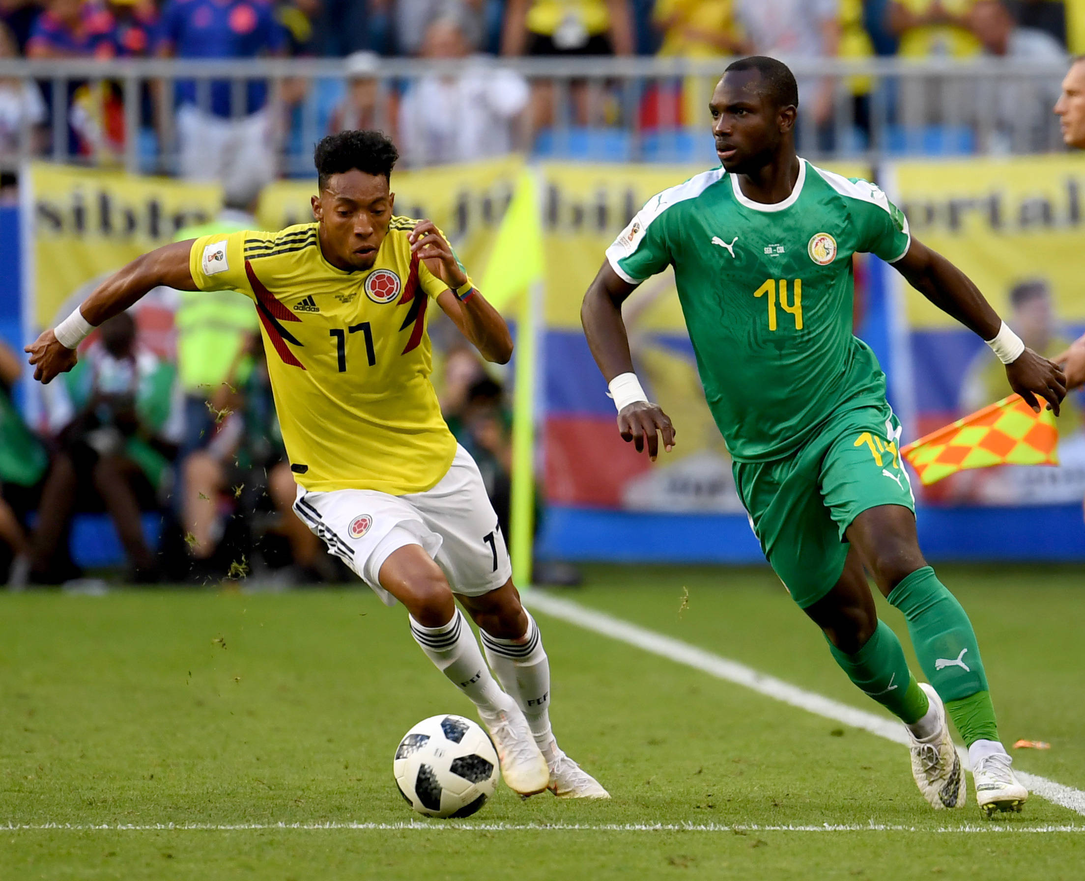 坚定不移的 坚定不移的